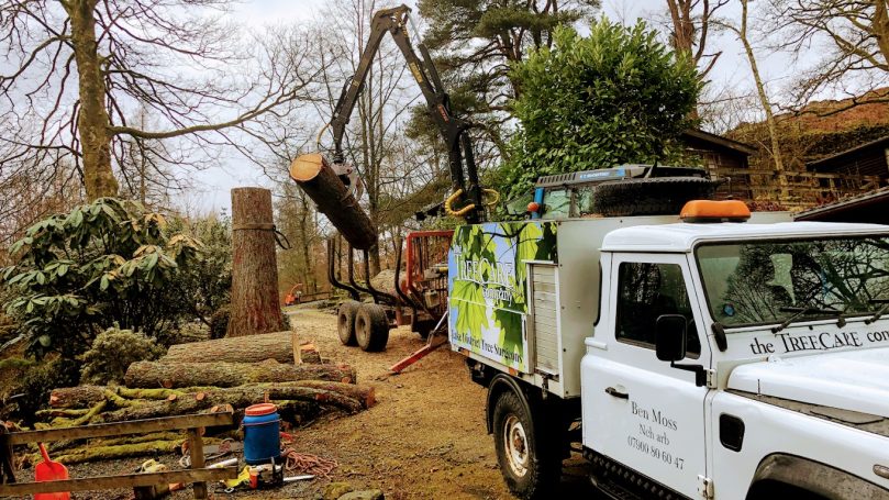 Skelwith Bridge Tree Surgery Skelwith Bridge Tree Surgeons