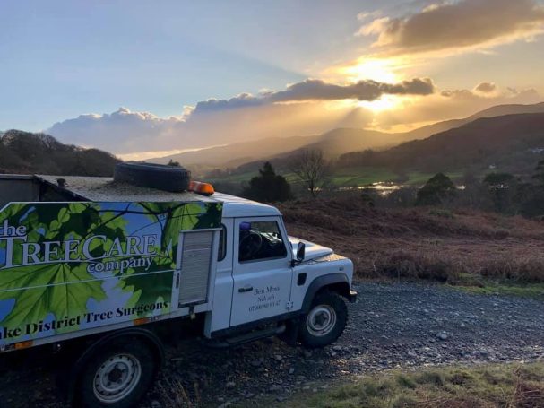 Coniston Tree Surgery Coniston Tree Surgeons