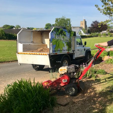 Cumbria Stump removal Cumbria Stump Grinding