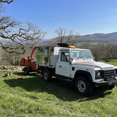 Hawkshead Tree Surgery Hawkshead Tree Surgeons